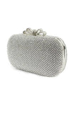 Beautiful Metal With Crystal Rhinestone Adjustable Bridal Purse