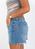 Aster Studded Shorts