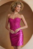 Aurora Mini Dress Pink
