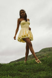 Dixie Bustier Mini Dress
