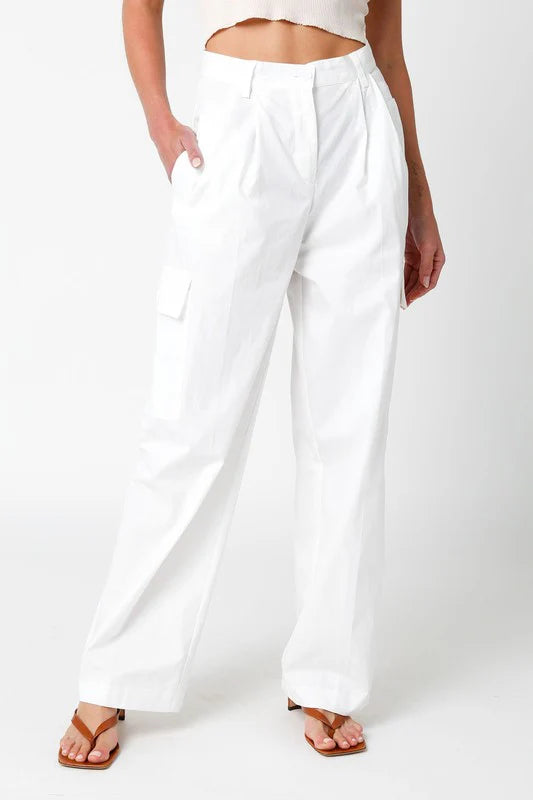 Arwen Pleated Pants multiple colors