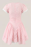 Pink Gingham Cotton A Line Mini Dress