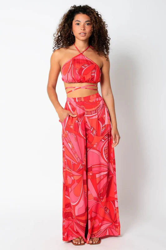Hailey Printed Tie Crop Top