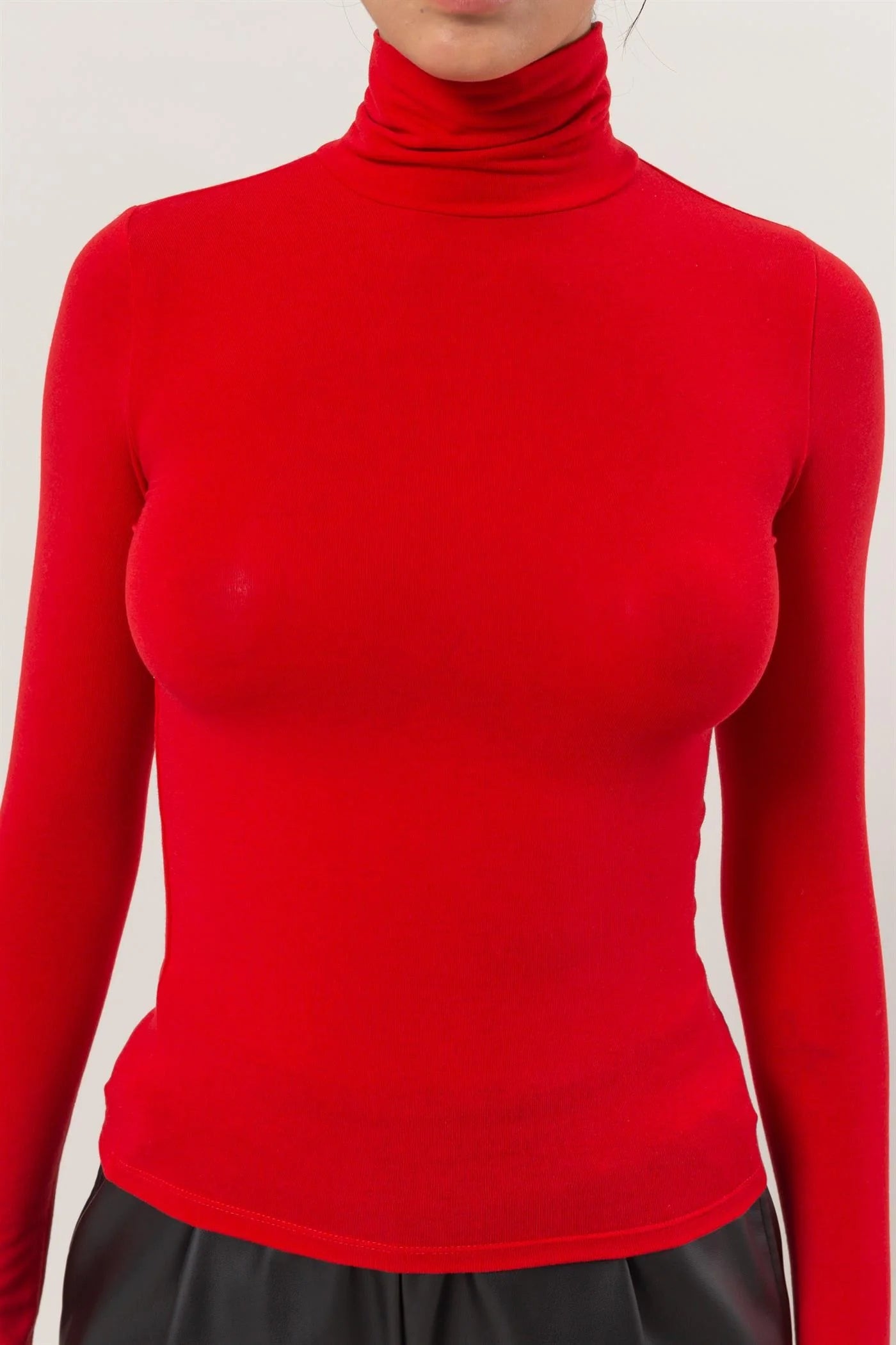 Gabby Turtleneck Top