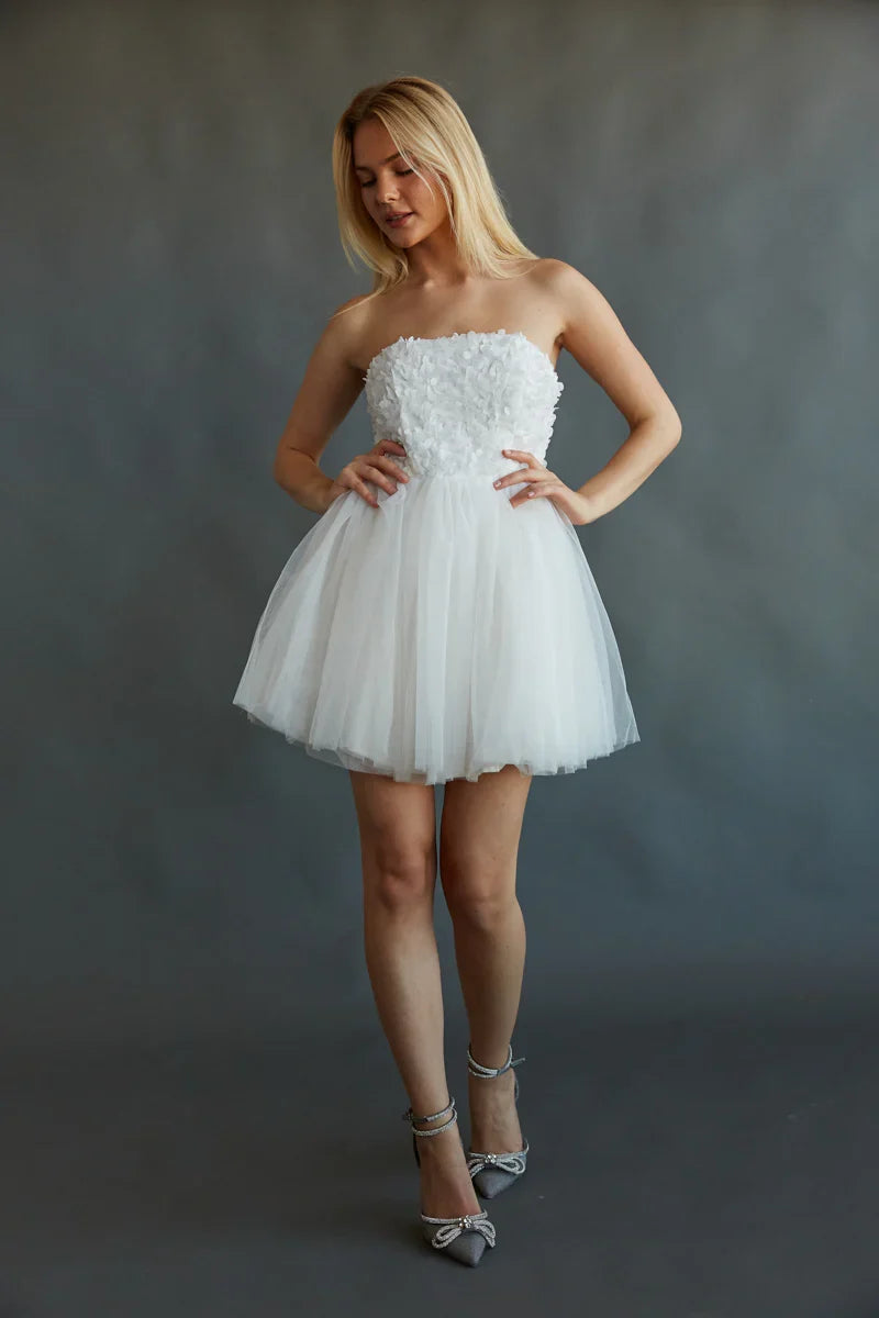 Grace Floral Applique Tulle Babydoll Mini Dress