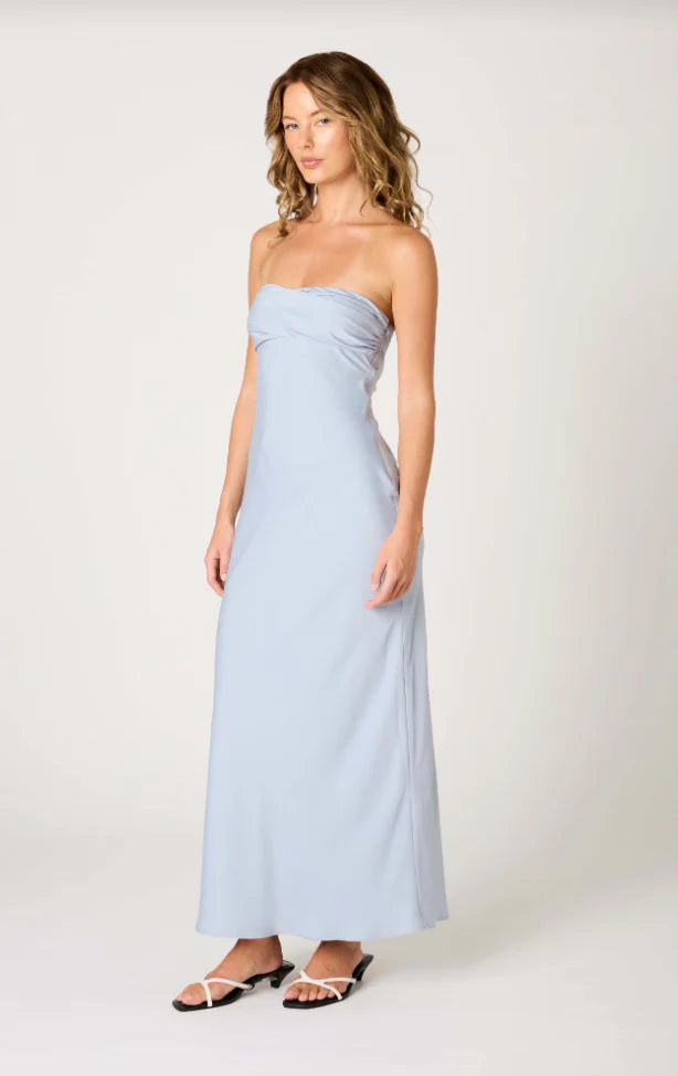 Tana Strapless Dress