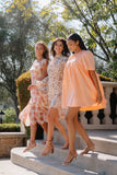 Harlie Chiffon Mini Dress
