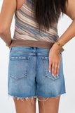 Aster Studded Shorts
